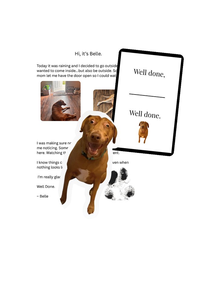 A Letter from Belle (Limited Drop) product image (1)