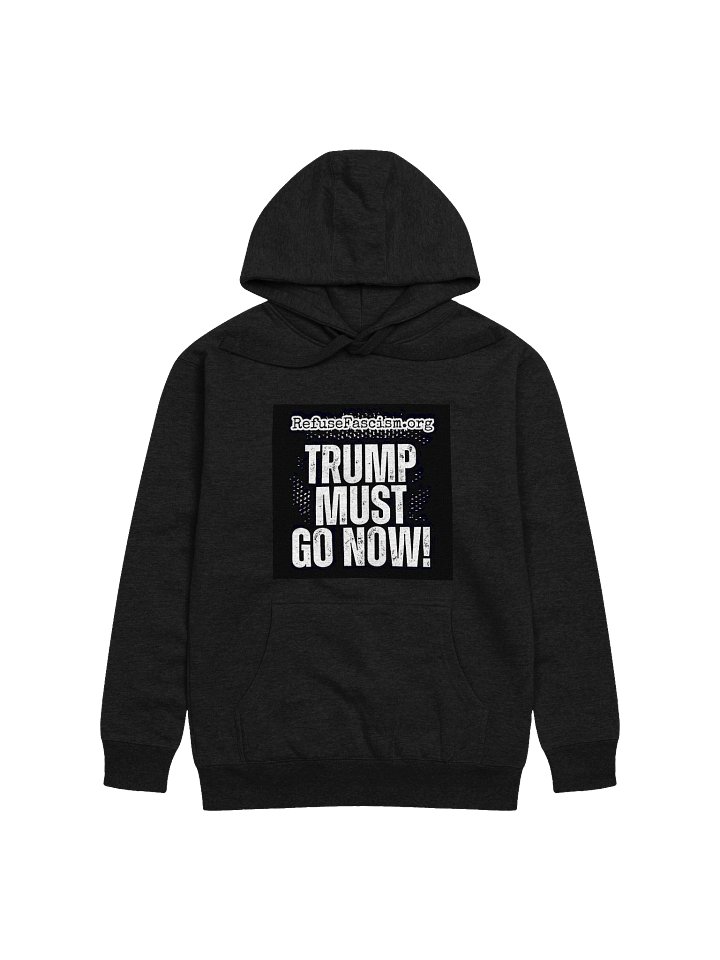 Trump Must Go Now! Hoodie product image (1)