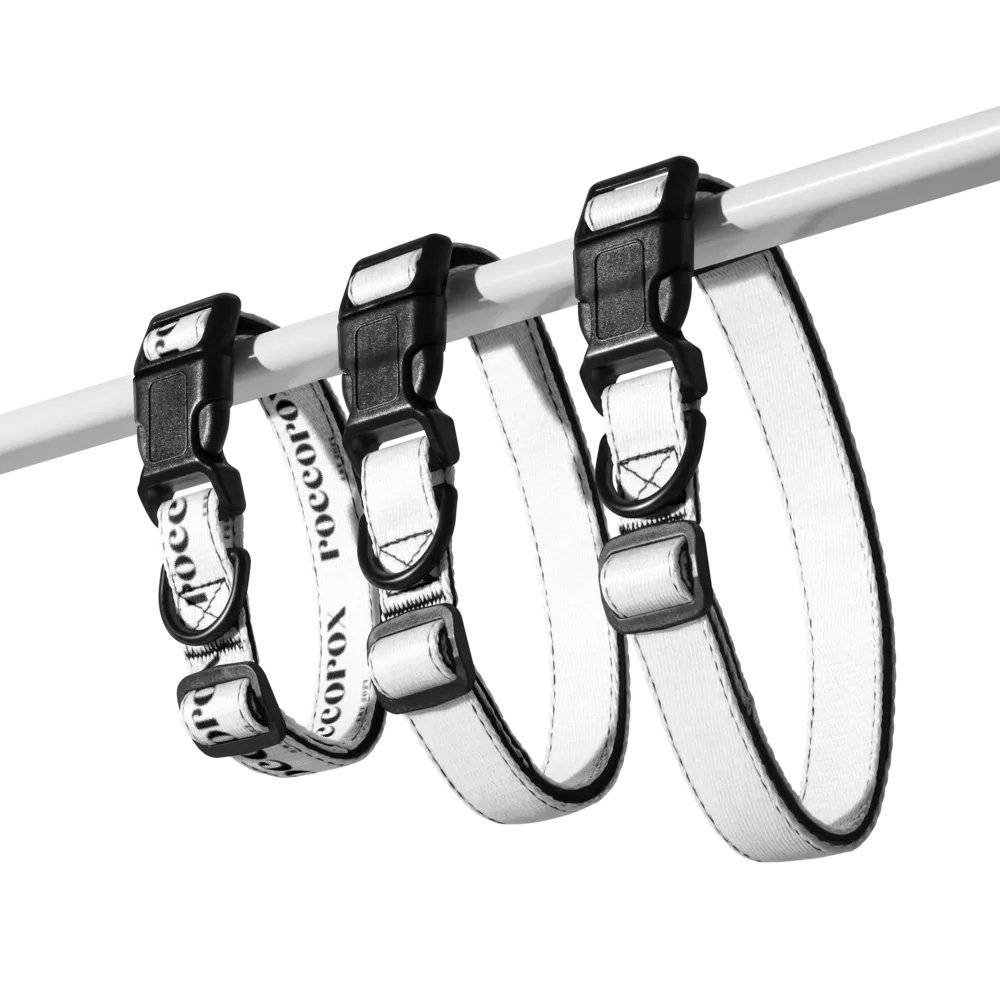 RoccoRox Dog Collar White Size Small product image (5)