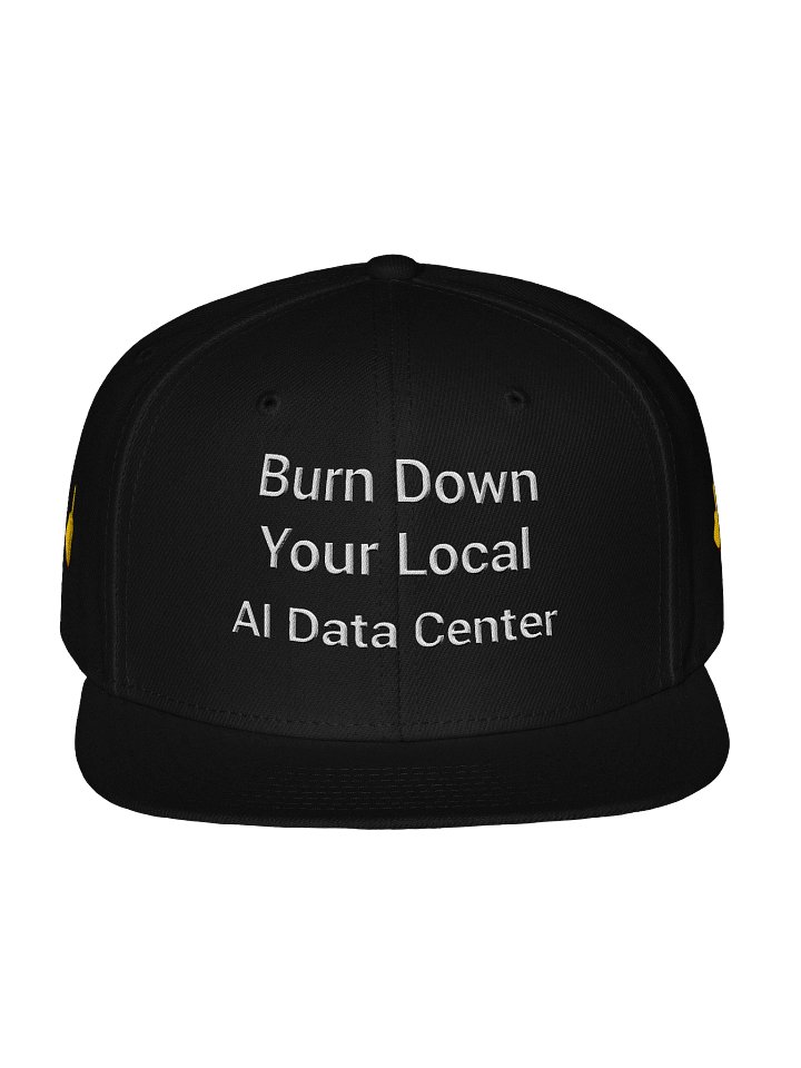 AI hAT product image (1)