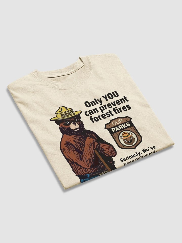 We've been DEFUNDED Smokey Our Parks Bear Heavyweight Alt National Parks T-Shirt product image (2)