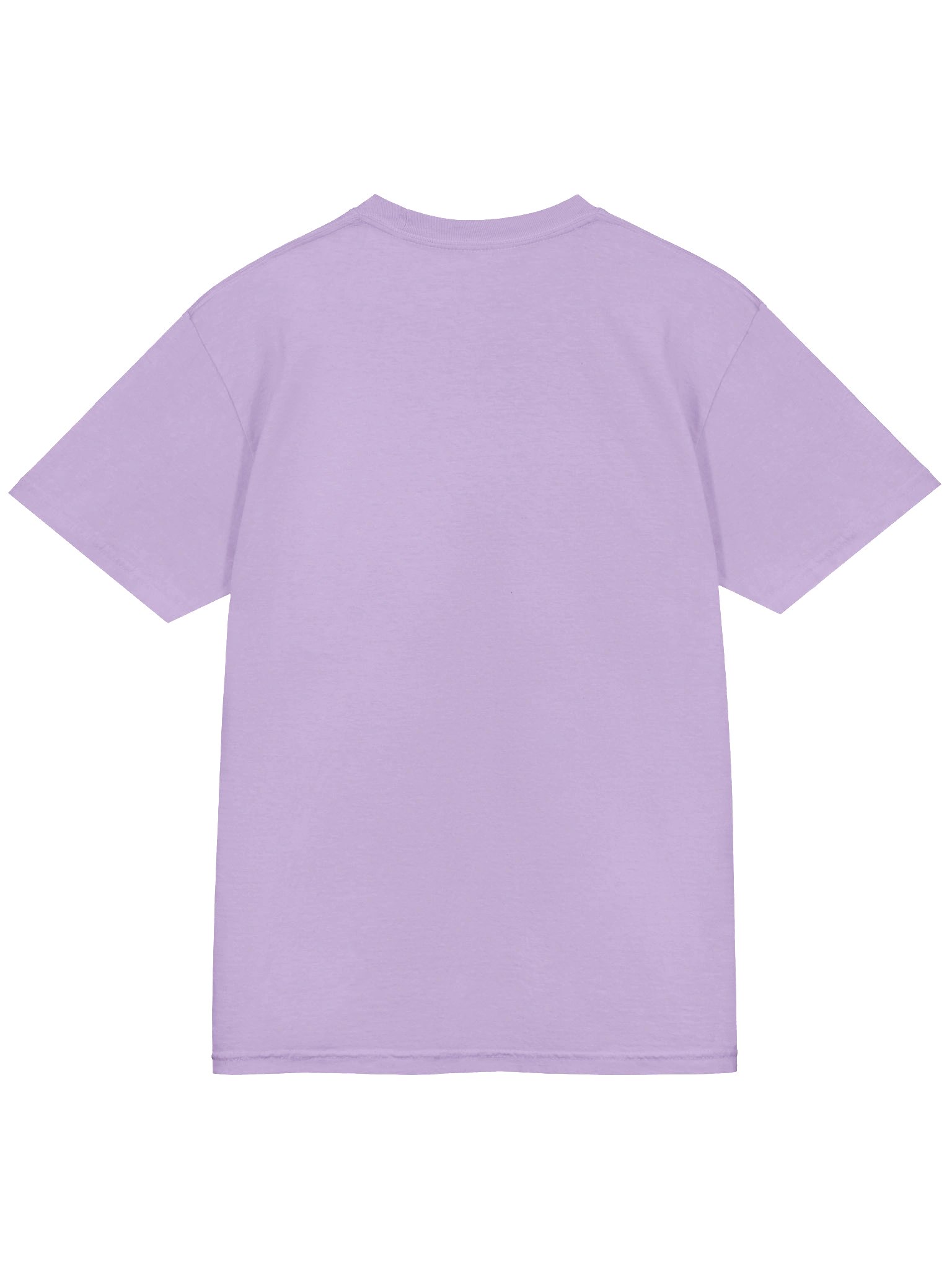 Get Your Ducks in a Row T-Shirt(Embroidered) of a Pembroke Welsh Corgi(Orange) product image (7)
