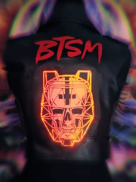BTSM Vest product image (2)