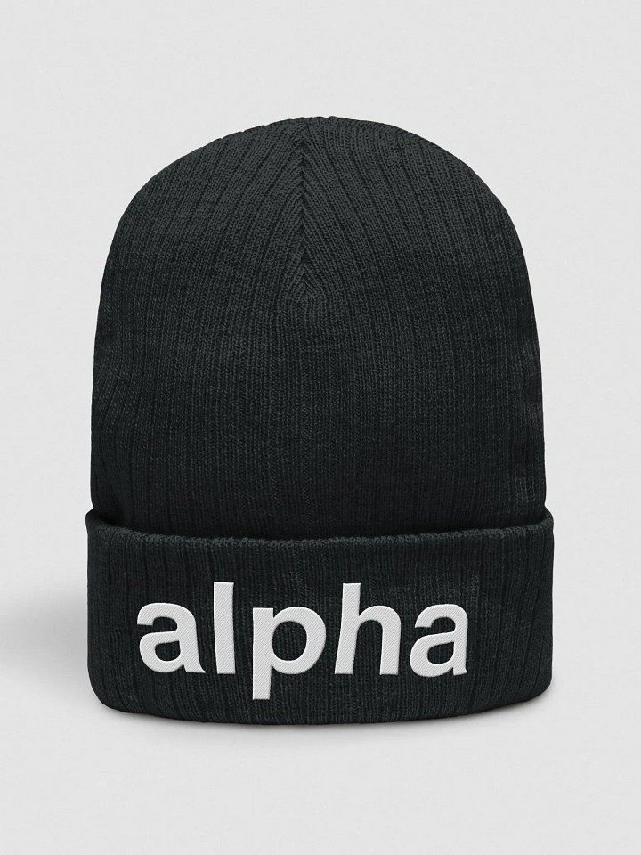 Alpha Beanie product image (1)