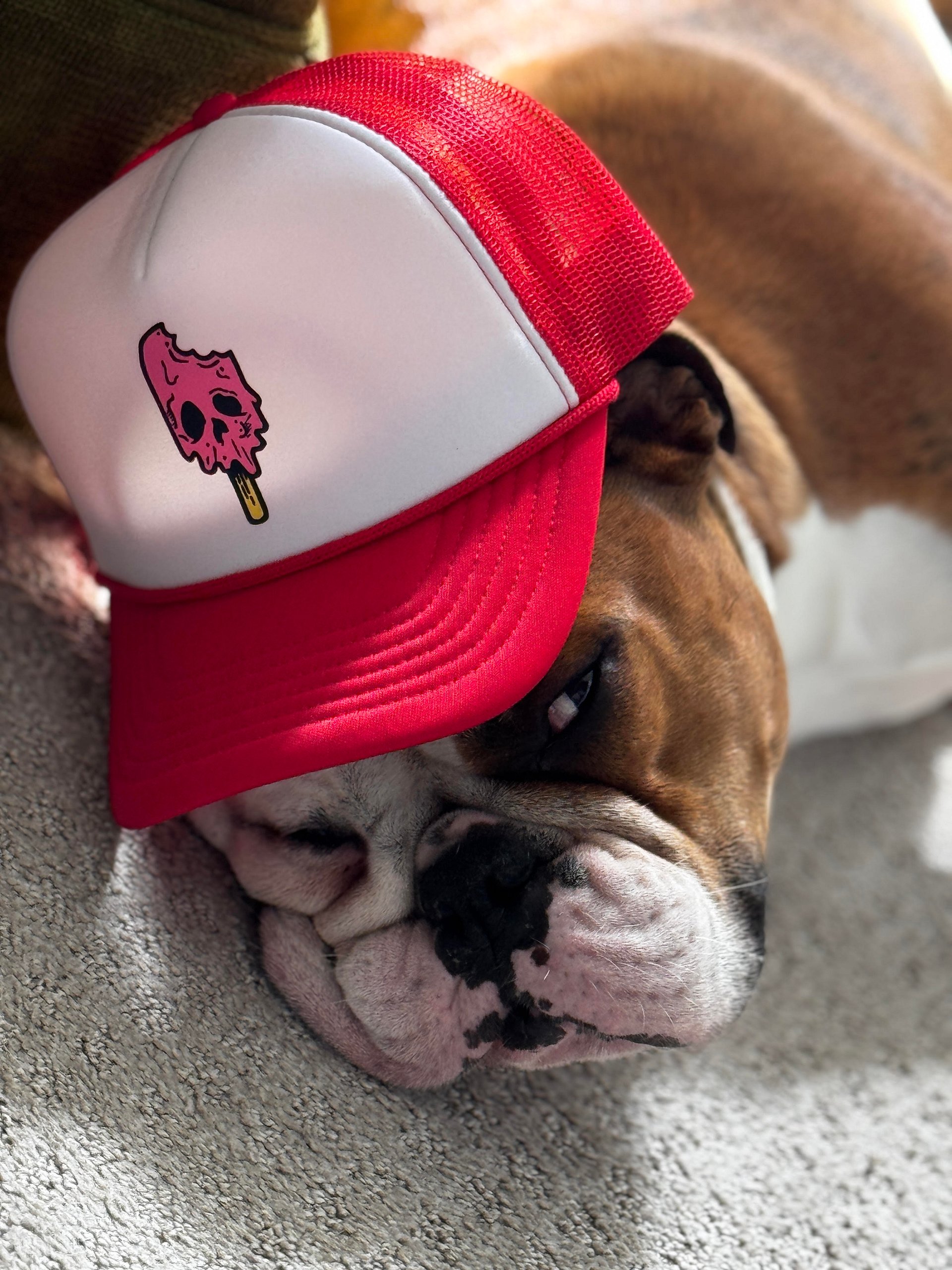 OG PopSick Trucker Hat product image (9)