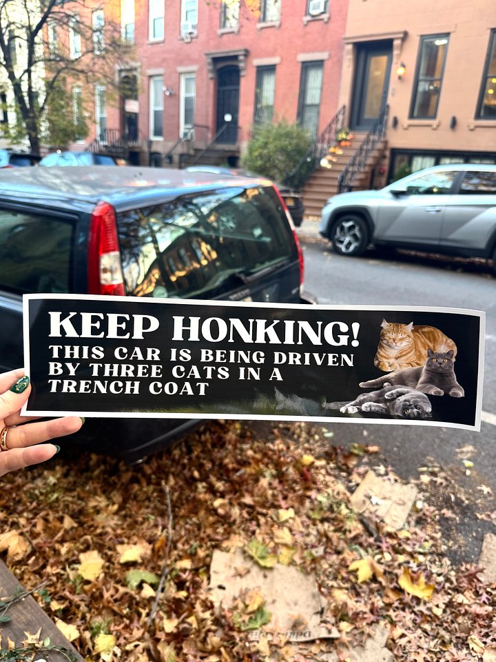 Keep honking this car is being driven by three cats in a trench coat large bumper sticker product image (1)