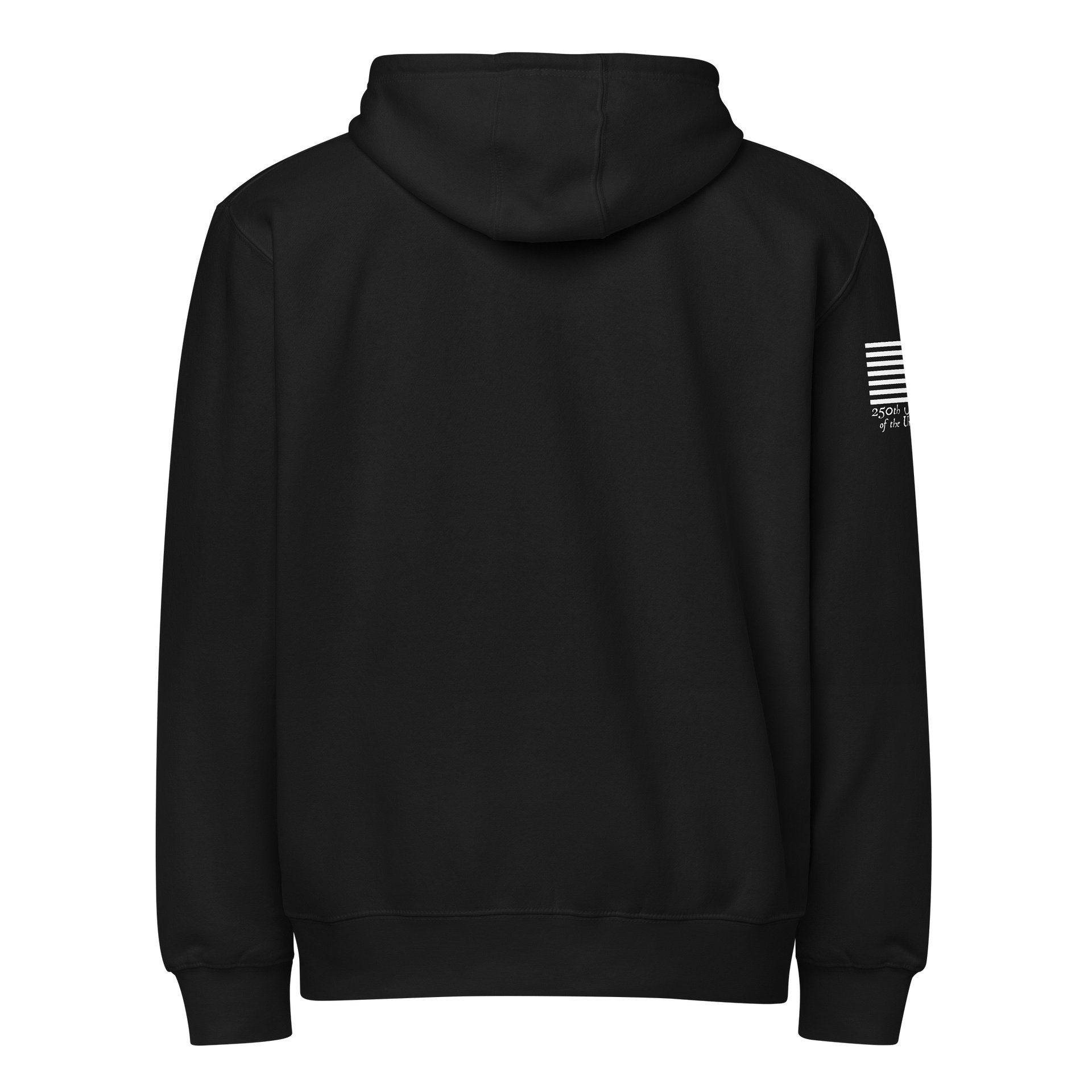 250 We The People Loaded ZipHoodie product image (3)