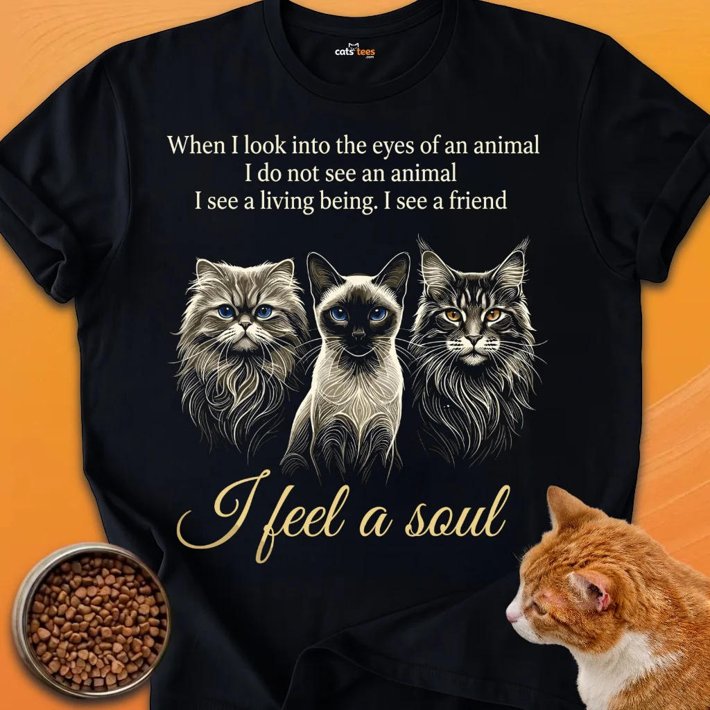 I Feel a Soul product image (1)