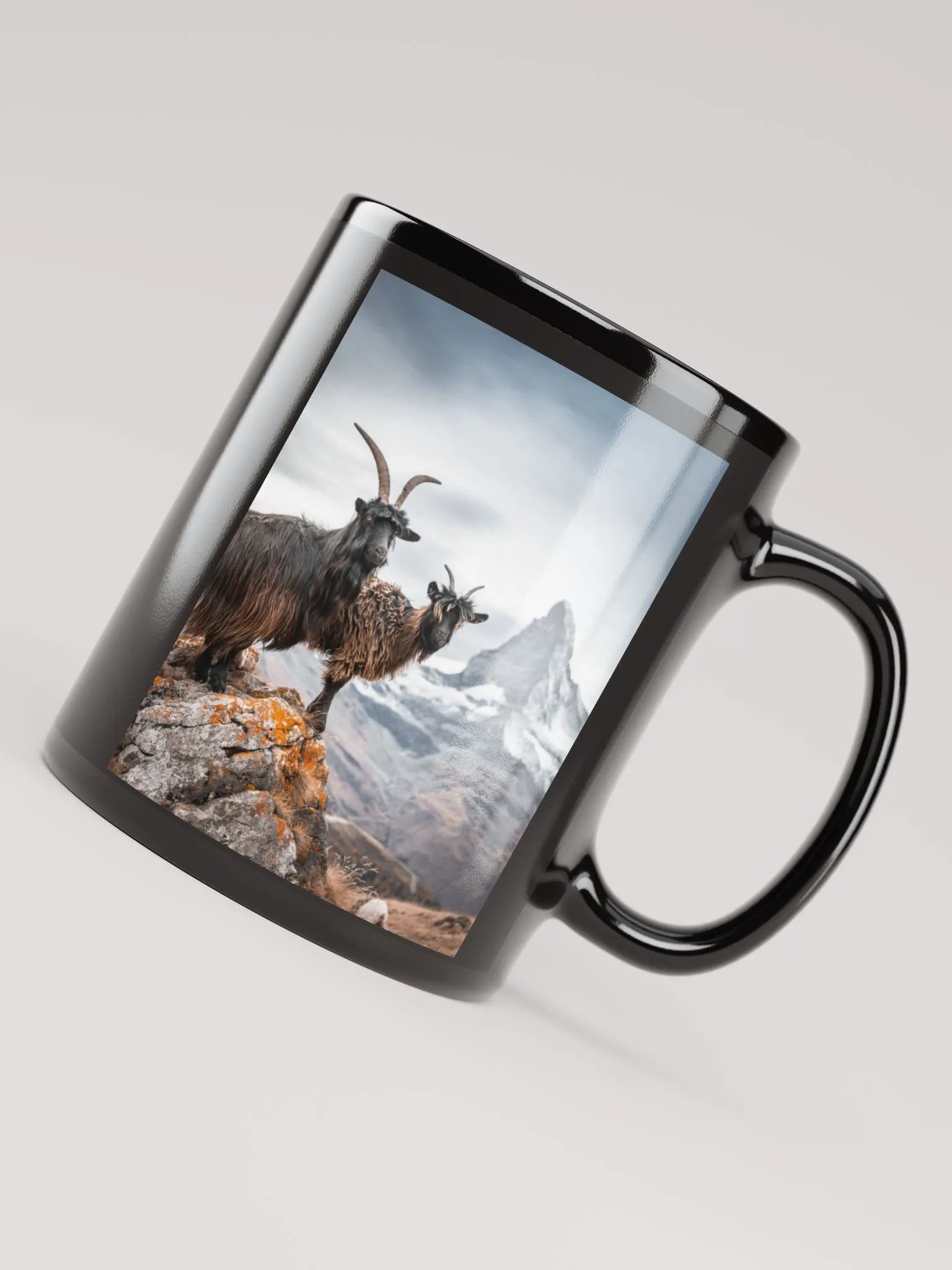Blackneck goat Mum and teenage dirtbag product image (8)