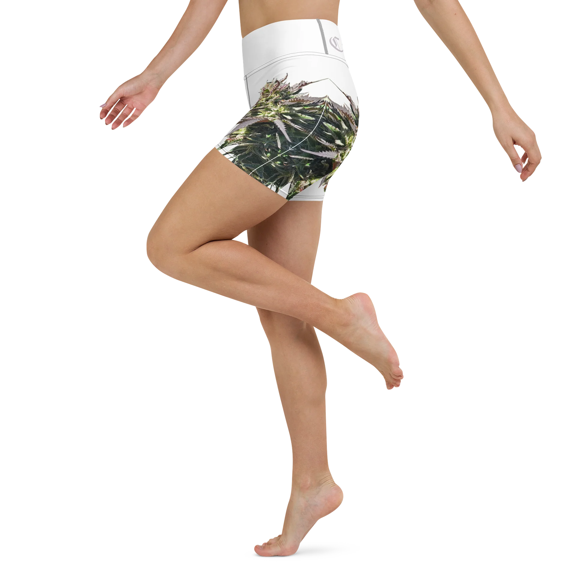 Herbaceus Sacer product image (4)