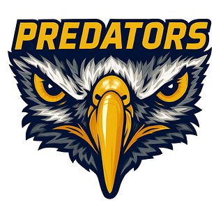 The Niagara Predators Jr A Hockey Club
