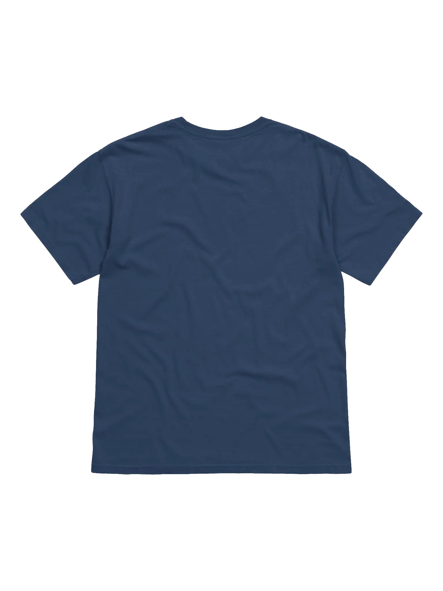 Not Contrails But Chemtrails - Heavyweight Tee product image (3)