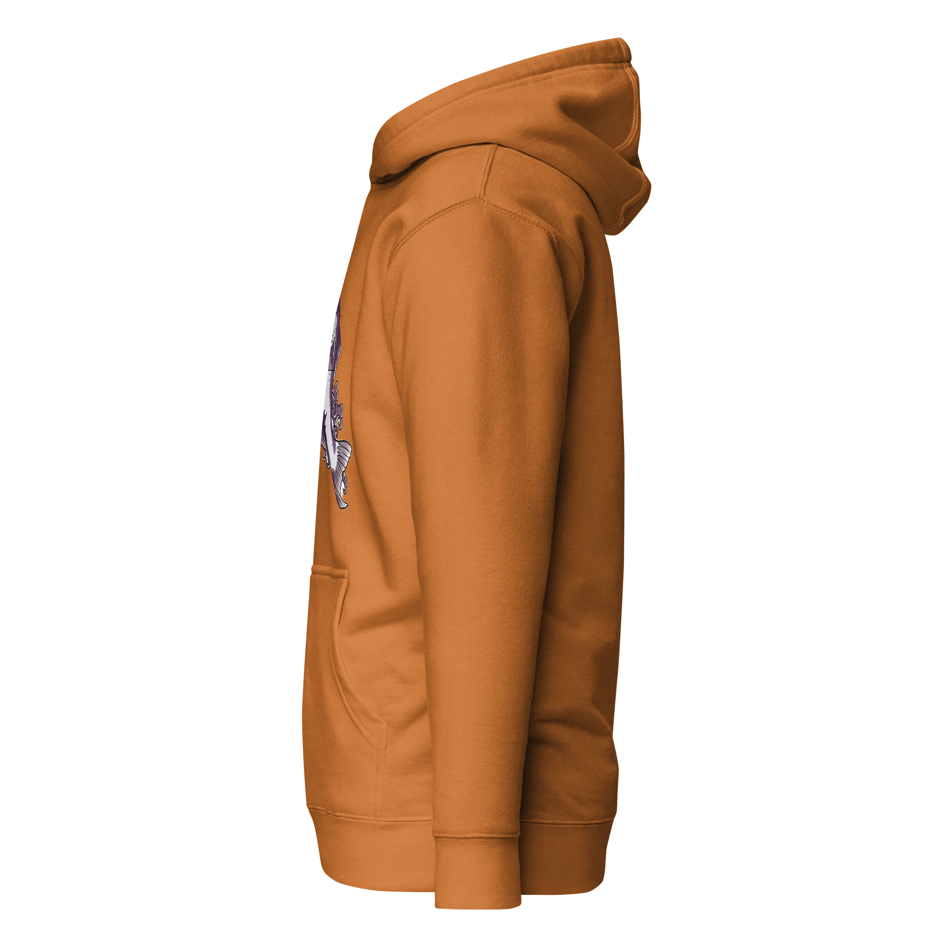 Salmon Run Premium Unisex Hoodie by Cassandra Miller product image (120)