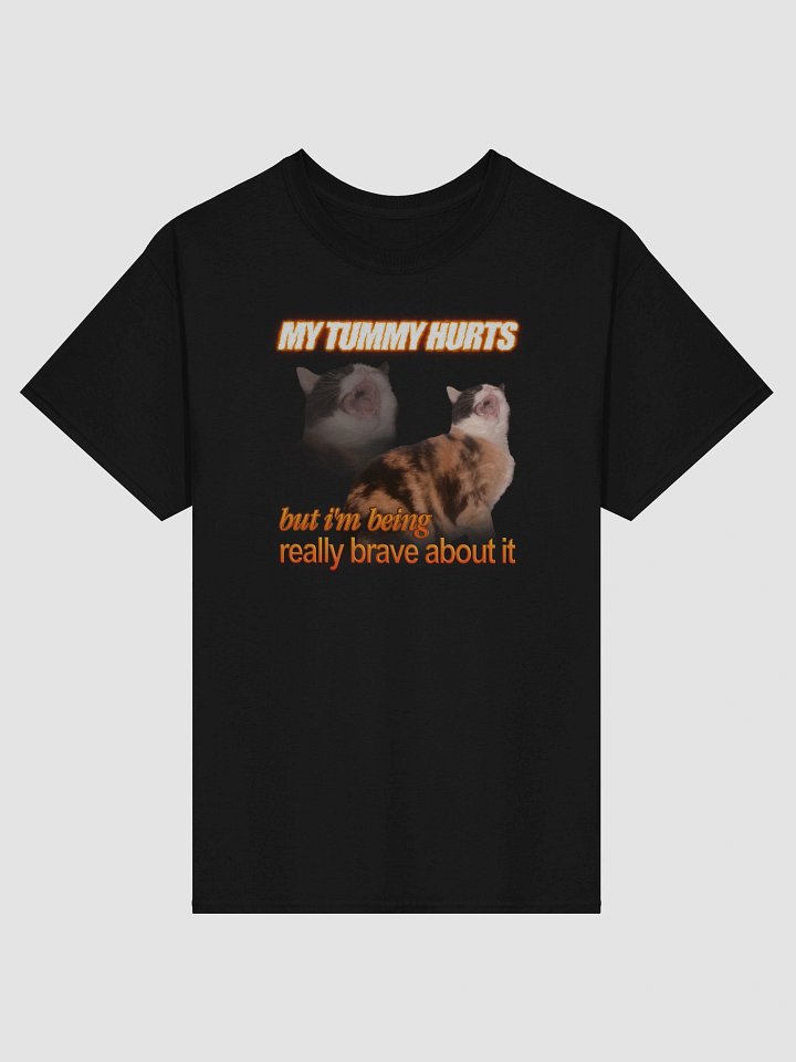 My Tummy Hurts and I'm Bring Really Brave - Cat T-shirt product image (62)