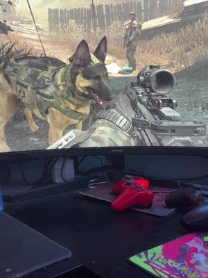 Didn’t expect Call of Duty: Ghosts to become my dog’s favorite game. Riley has her full attention. 🐕🎮 #GermanShepherd #CODGhosts #Gaming #DogSoftiktok #PS3