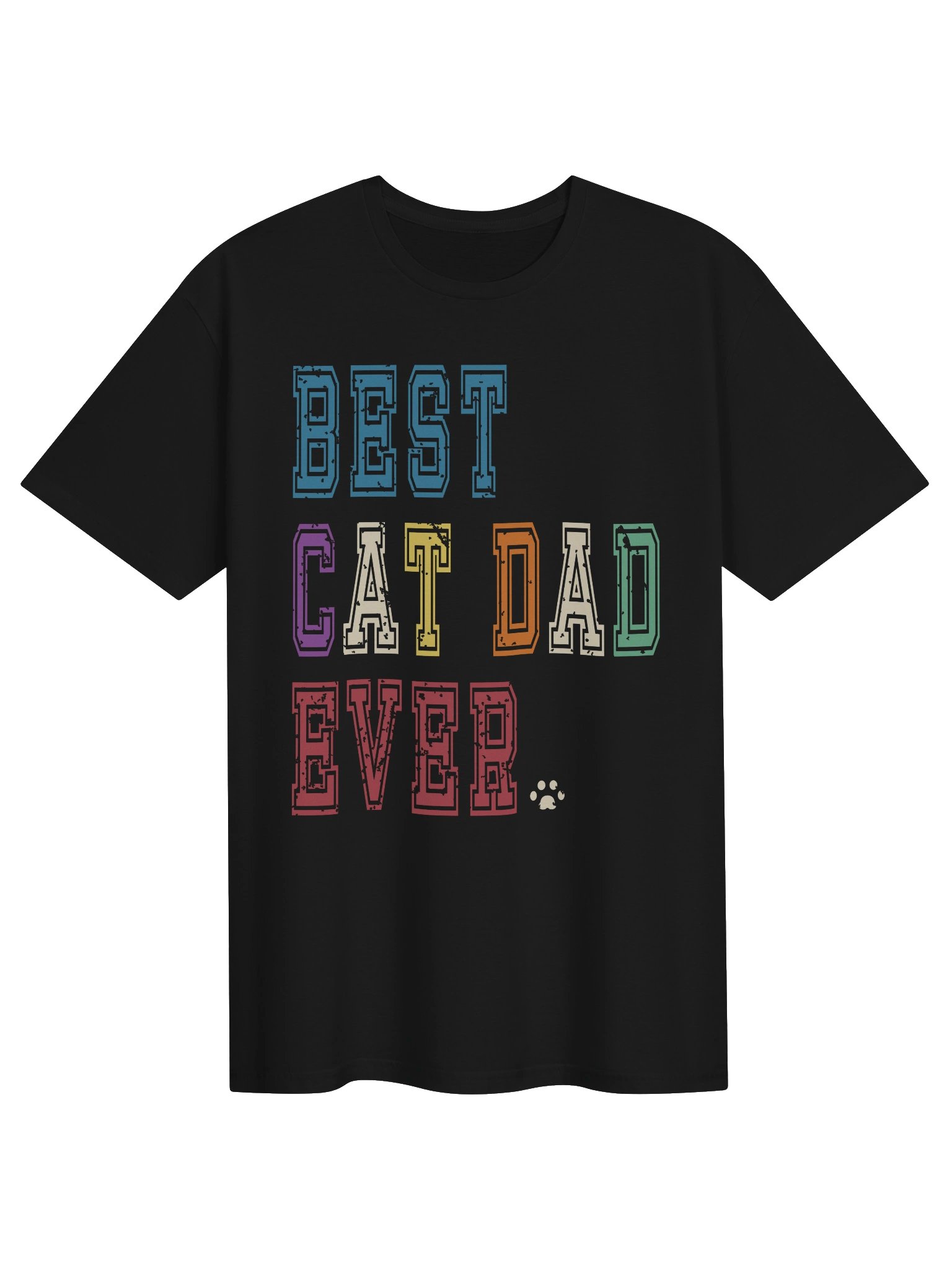 Best Cat Dad Ever 2 - Unisex Adult Super Soft Lightweight T-shirt product image (2)