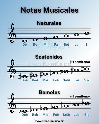En la imagen puedes ver las 7 notas naturales 🎶, con sostenidos (♯) y con bemoles (♭). Esas son las alteraciones más comunes....