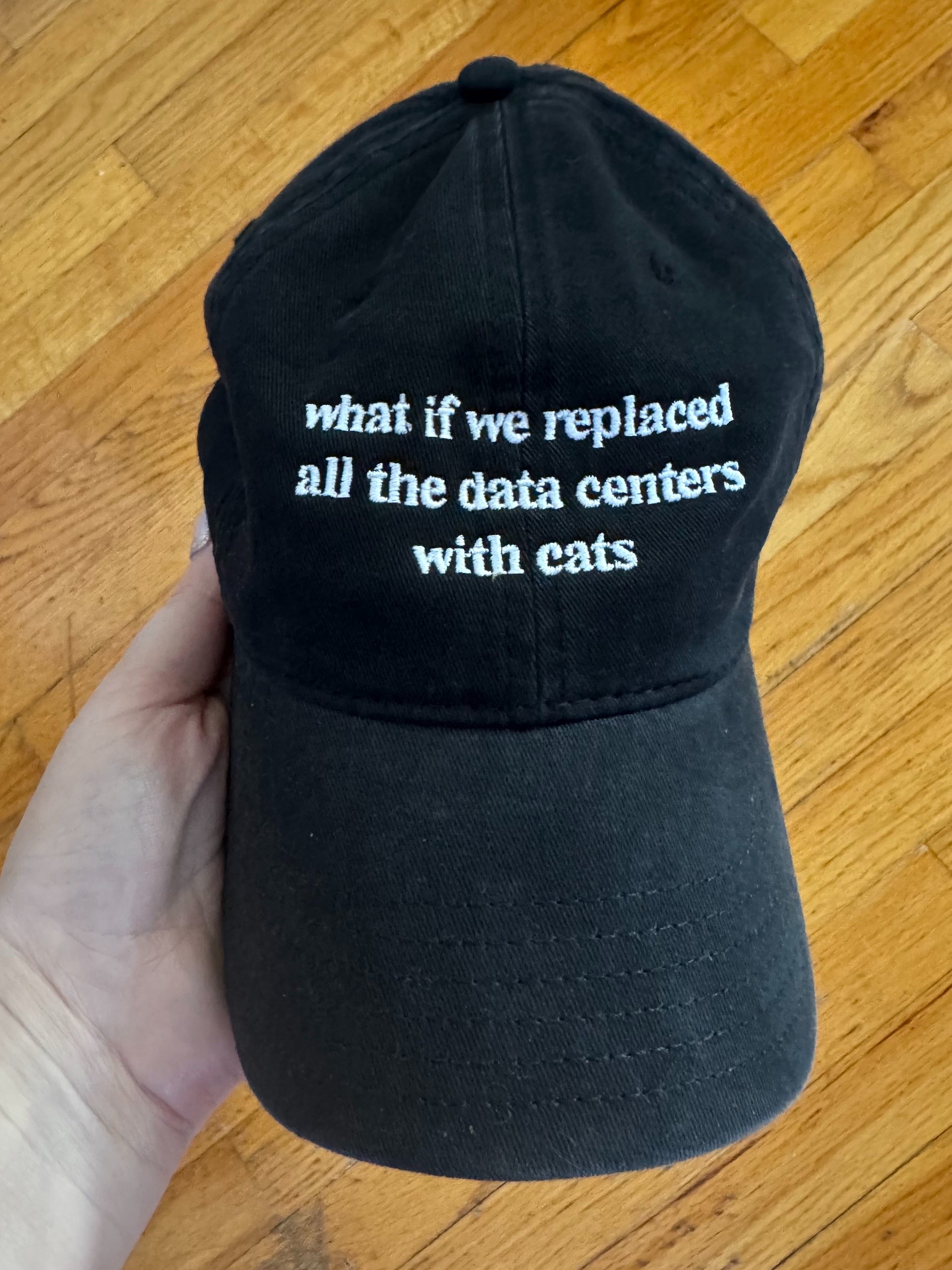 what if we replaced all the data centers with cats hat product image (1)