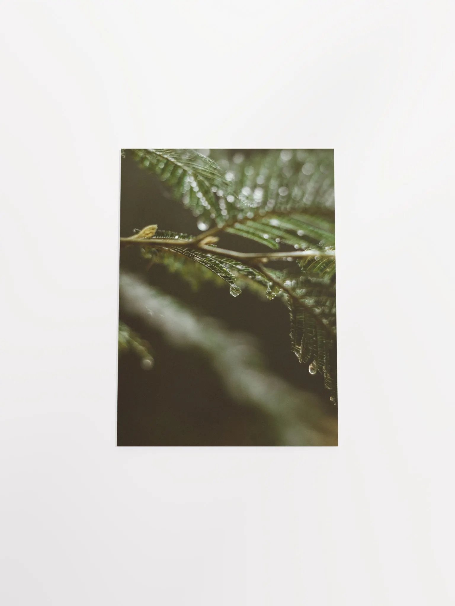 Vintage Drop product image (16)
