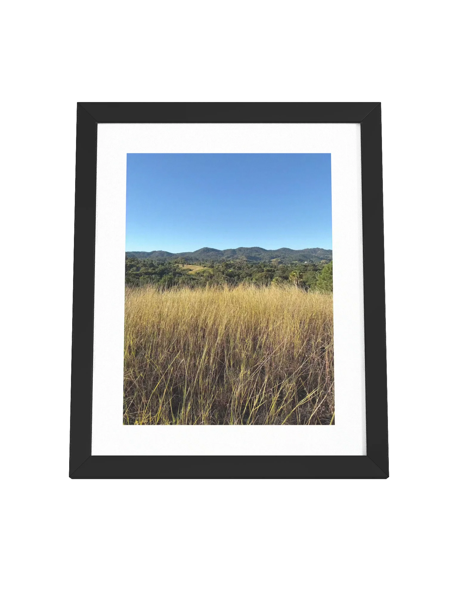 Country Life Framed Art Print product image (10)