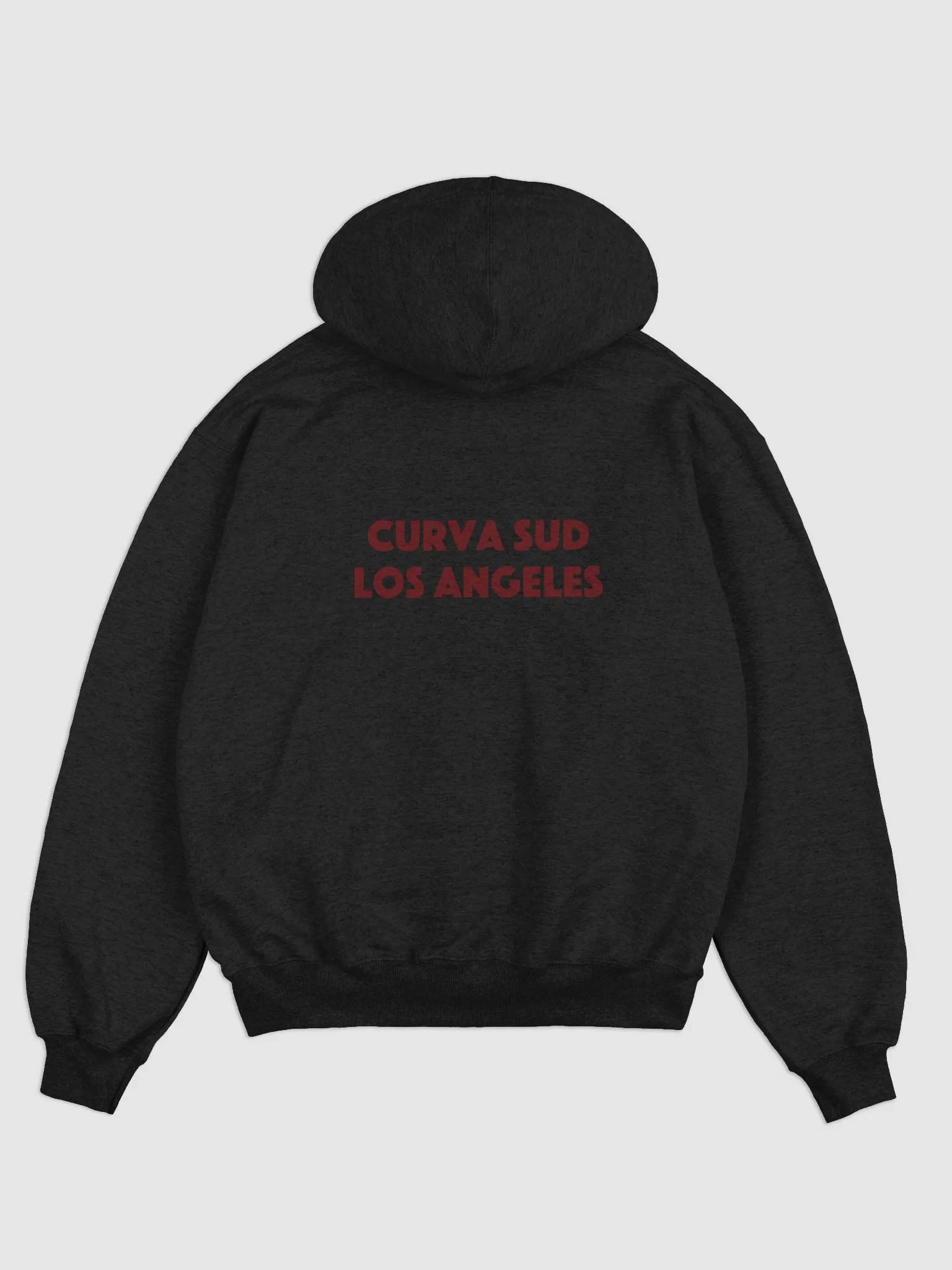 CSLA | Edition I | Champion Hoodie product image (6)