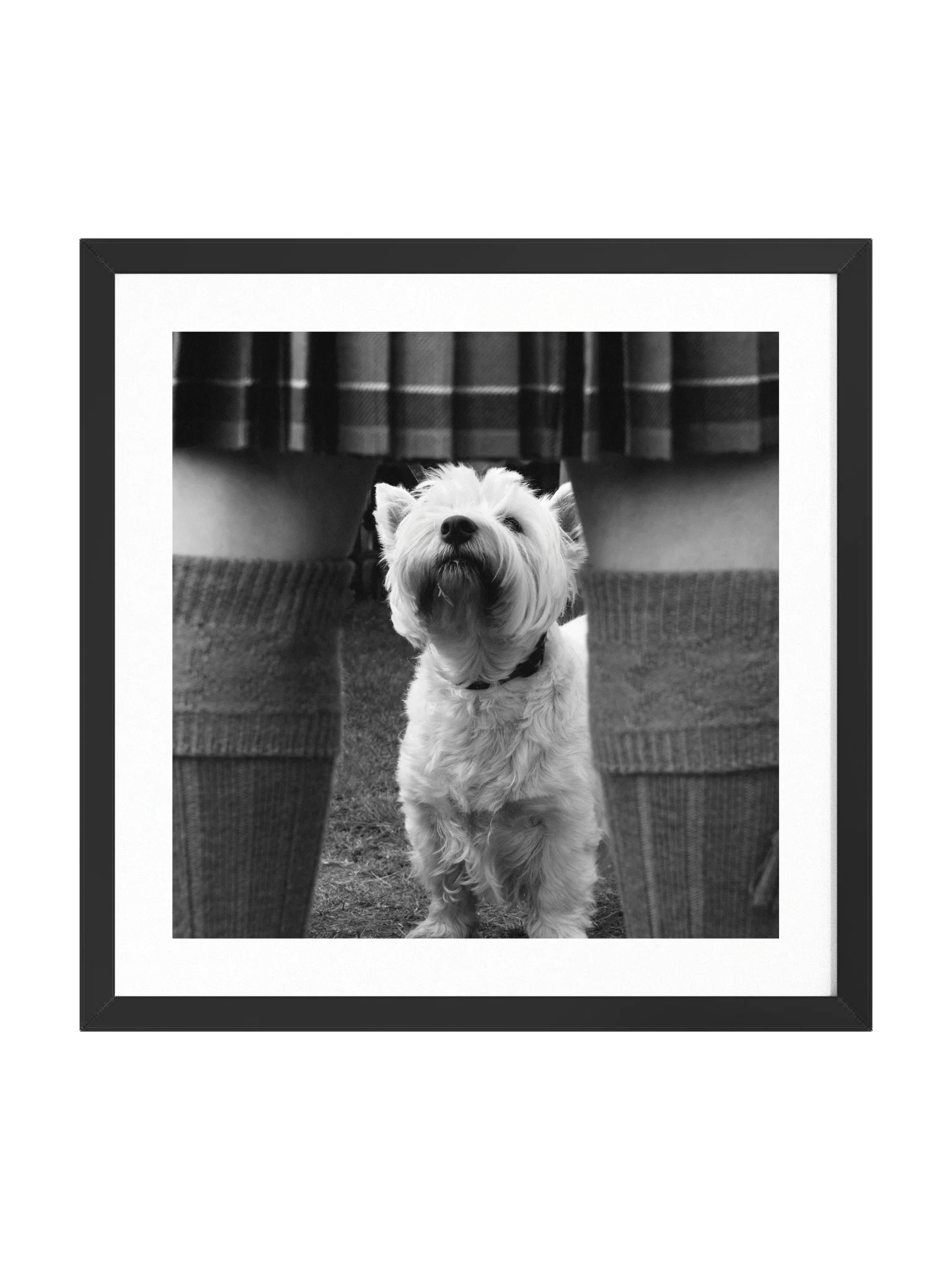 Wee Jock Print 2006 Lonach Games Scotland product image (1)