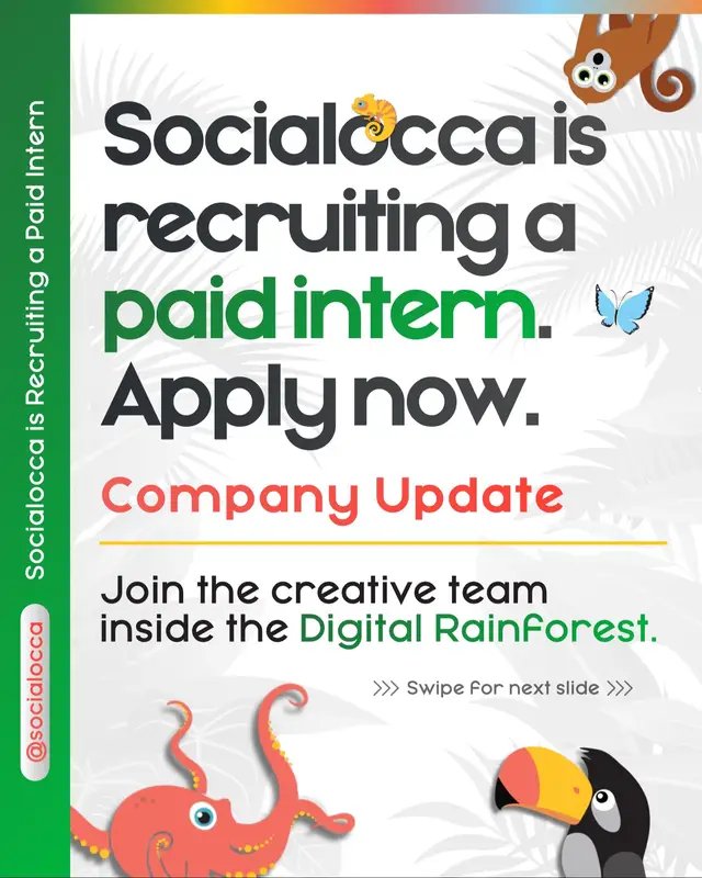 Socialocca is expanding the team 🤝 We’re seeking a Junior Creative Partner (Remote) and a Social Media Content Photographer (Texas, USA) 📍 More information at jobs.socialocca.io —> link in our bio —> “Careers at Socialocca” #nowhiring #marketingagency #internship #socialmediajob #applynow  