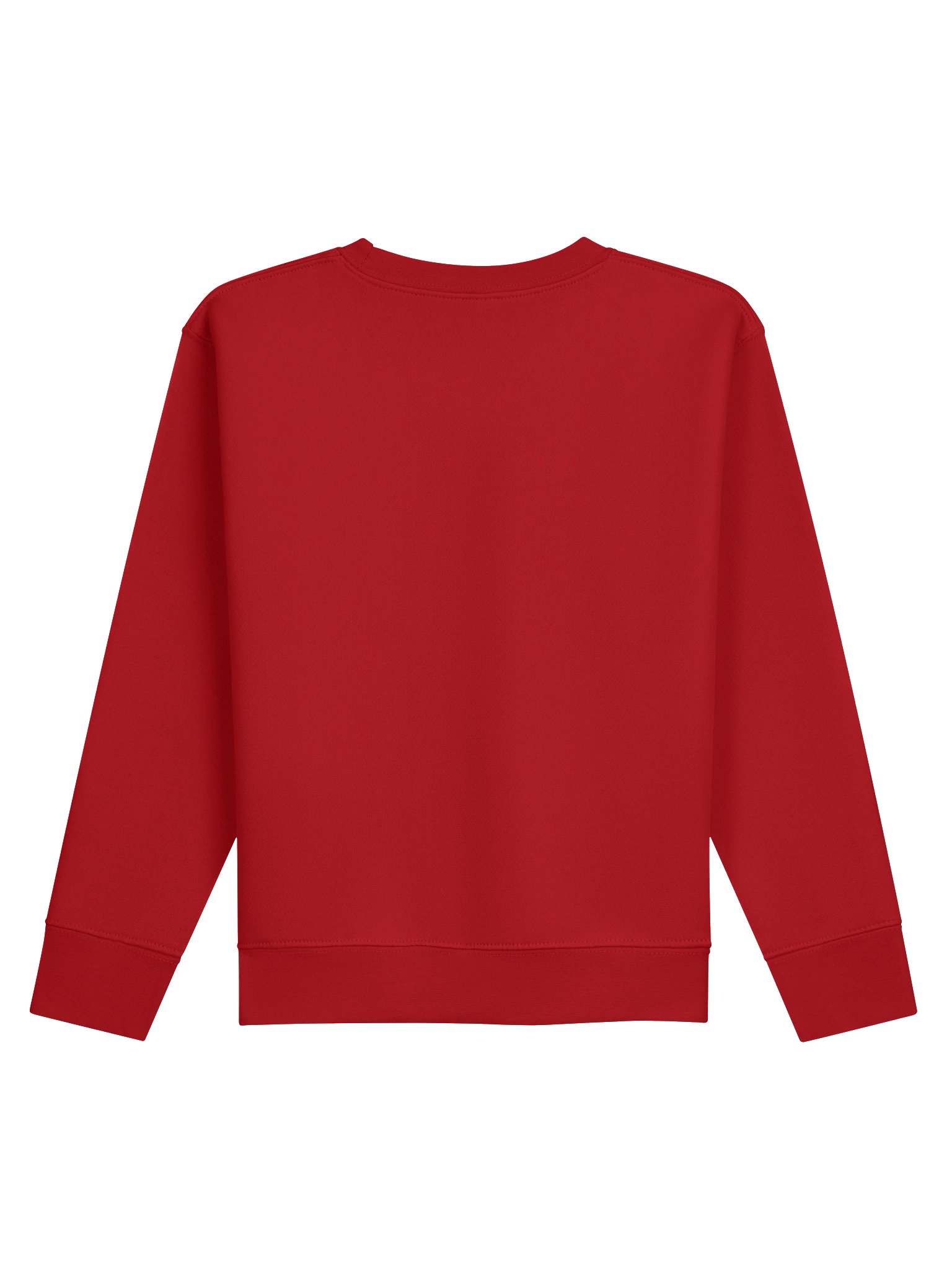 Youth Sweatshirt product image (2)