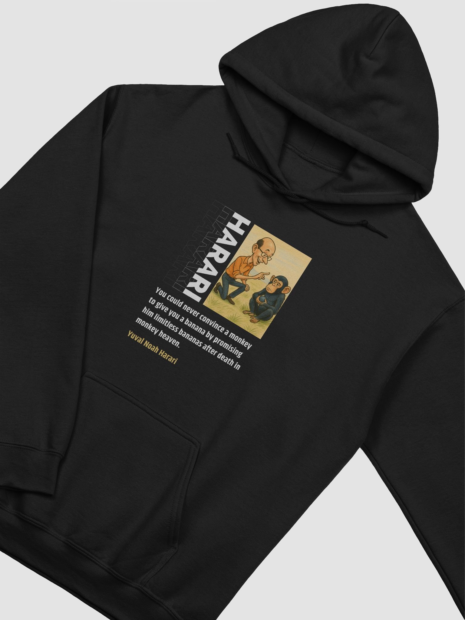 Yuval Noah Harari Hoodie product image (15)