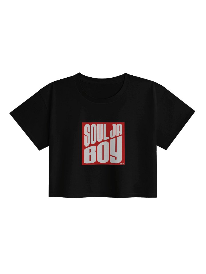 SOULAJBOYDRIPCO Box Woman's Cropped Tee product image (1)