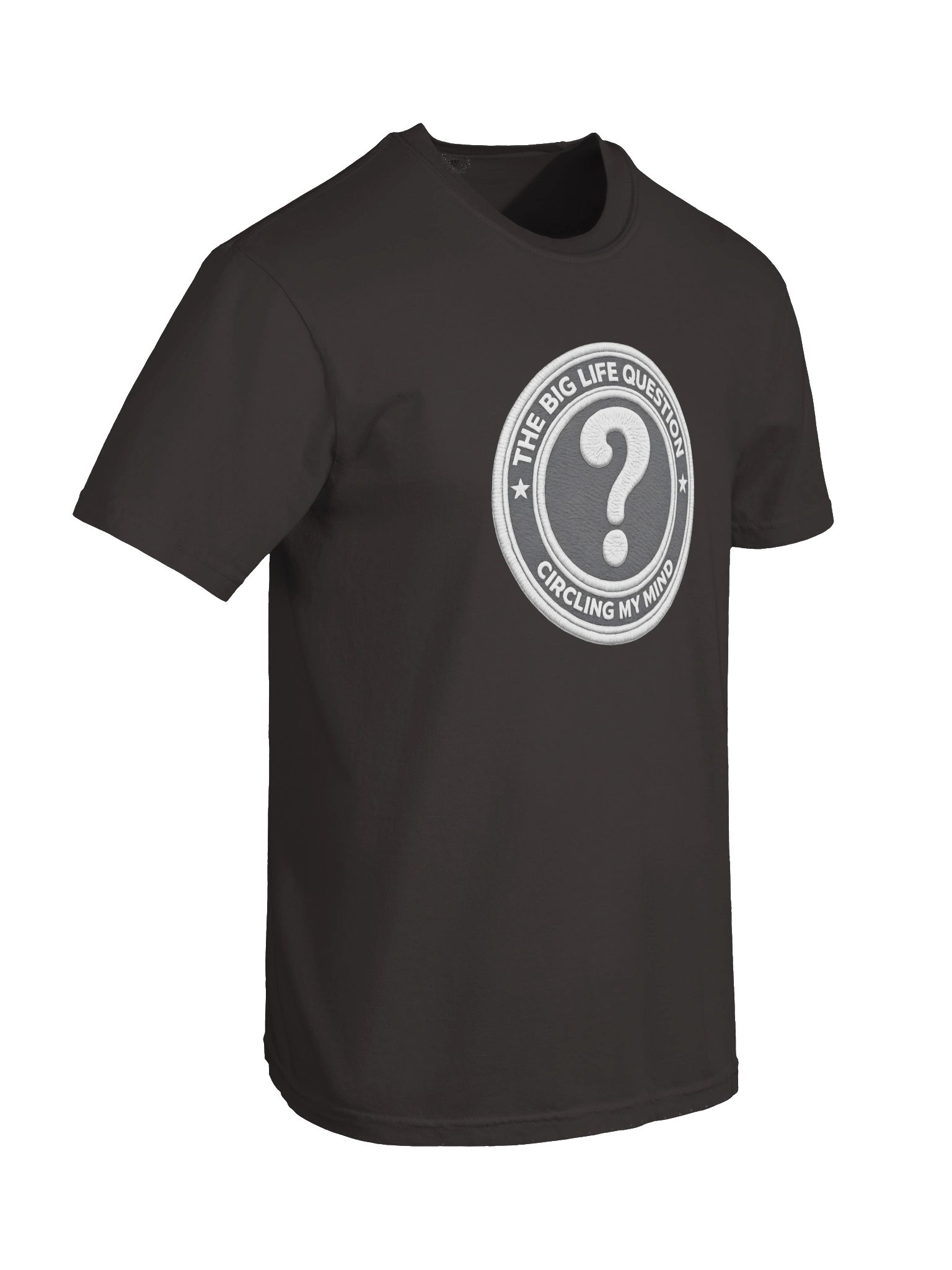 BIG LIFE QUESTION T product image (6)