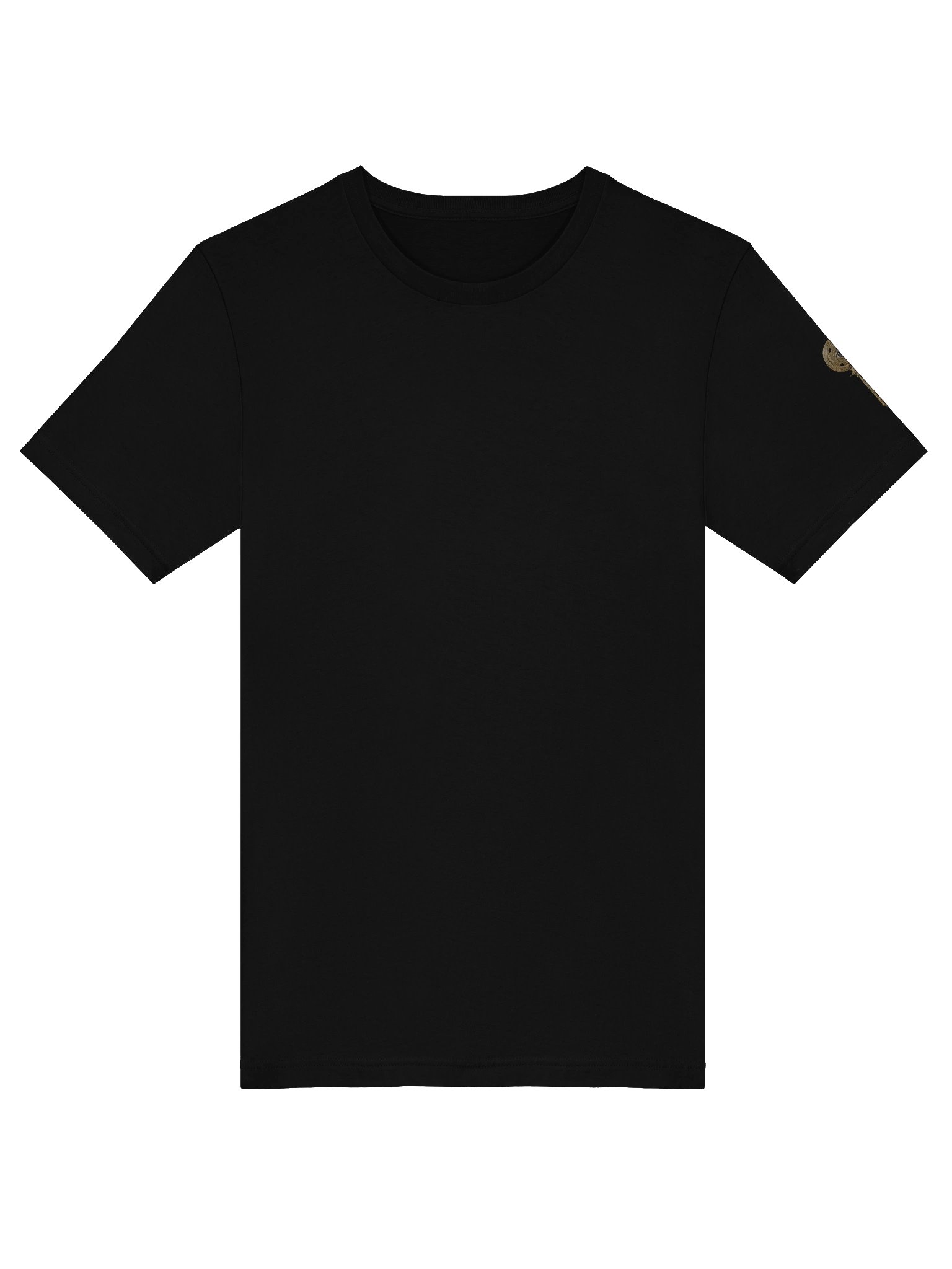 The Gatekeeper’s Key Classic T-Shirt – Back & Left Shoulder Print | Bella+Canvas 3001 product image (5)