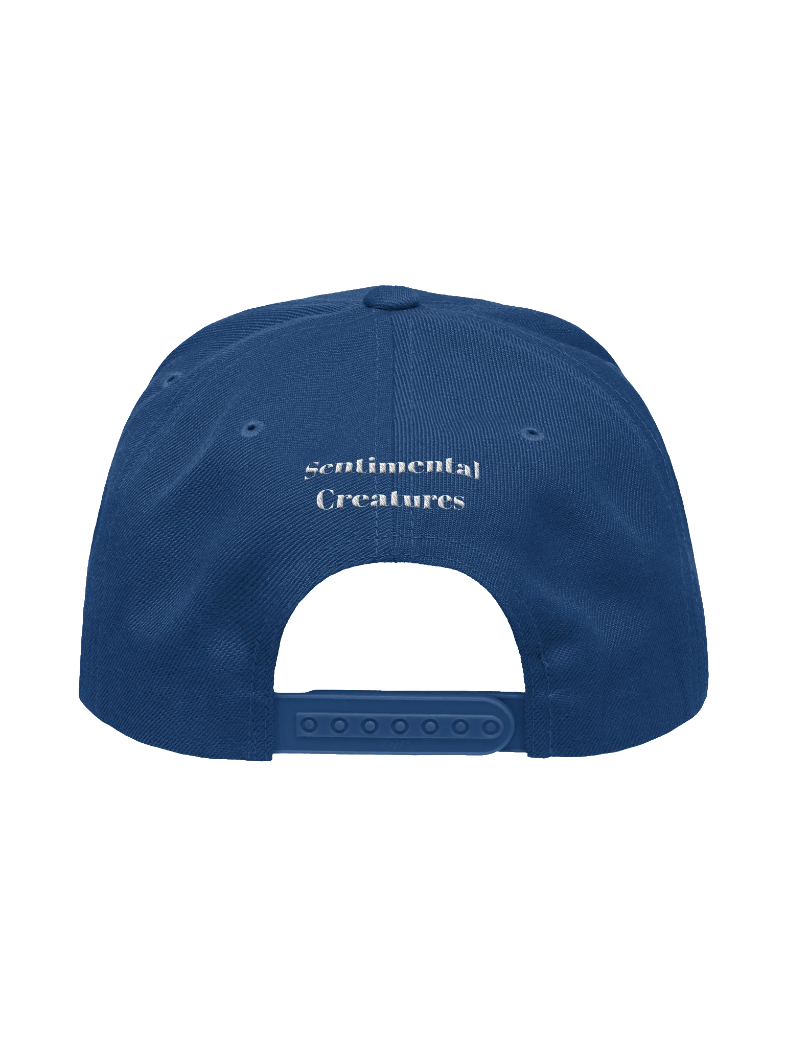 Sentimental Ballcap product image (33)