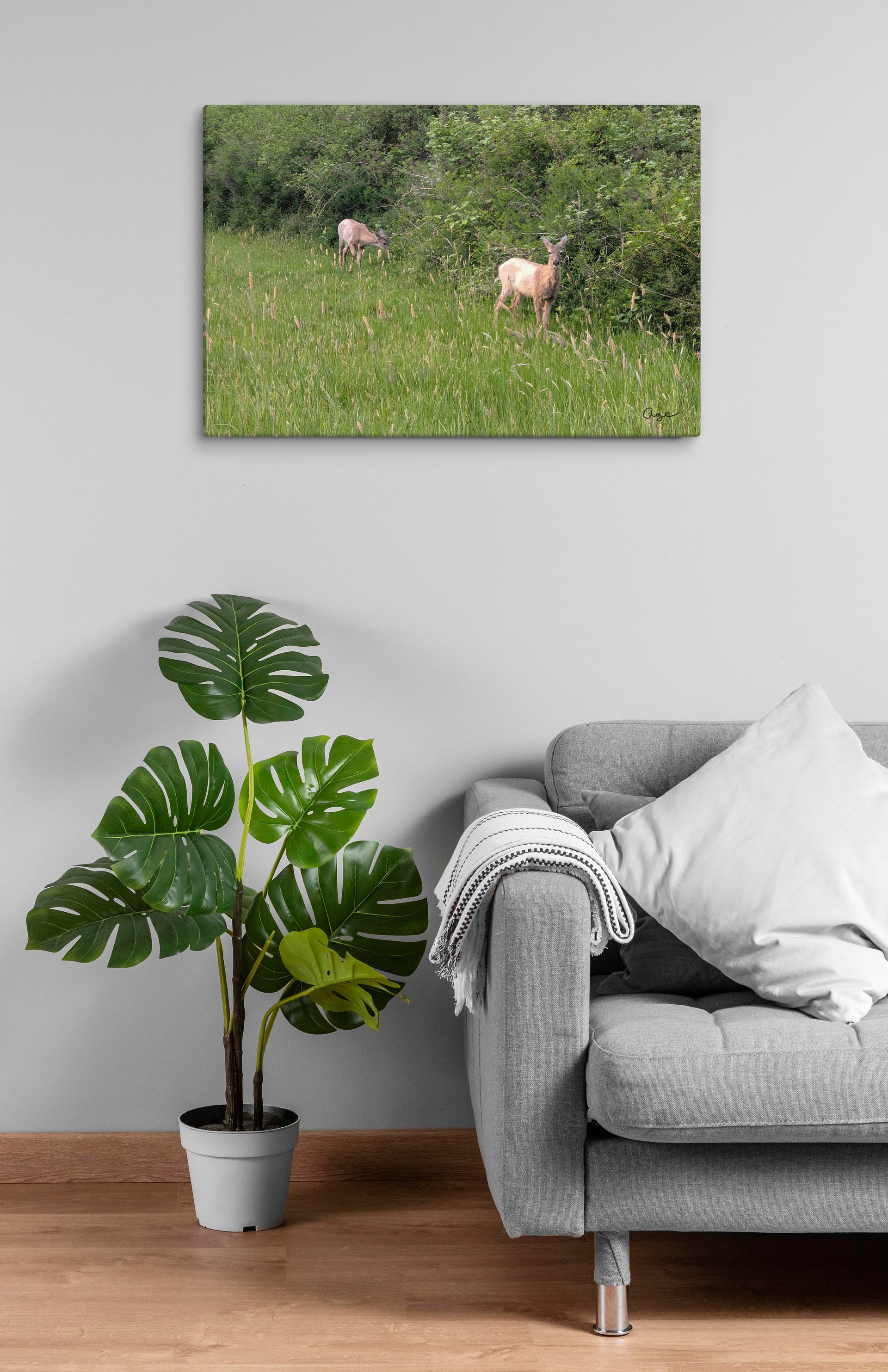 Wild Grounds product image (4)