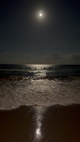 POV: The full moon brought the king tides, and the ocean is getting a little too close tonight 🌕🌊 Would you stay and watch?

...