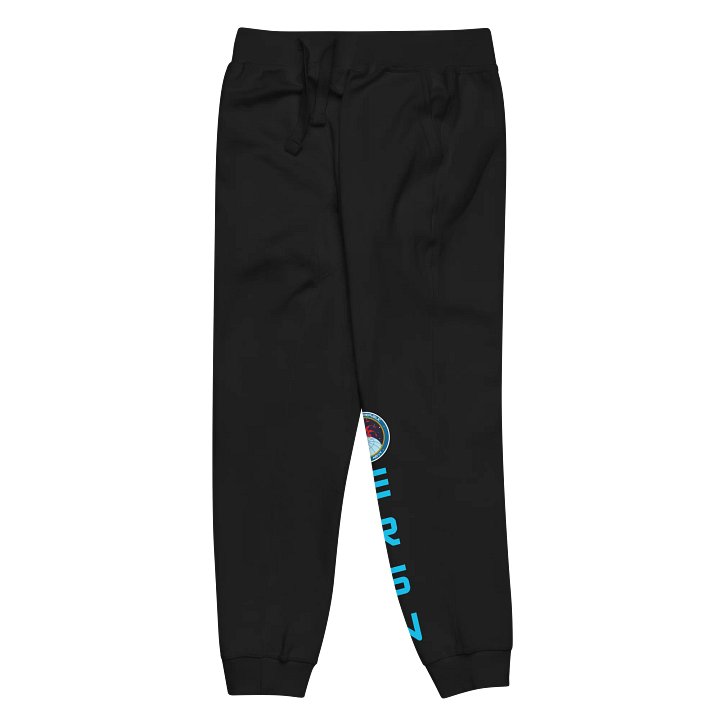 Starship Valkyrie ERSN Logo Fleece Joggers product image (5)