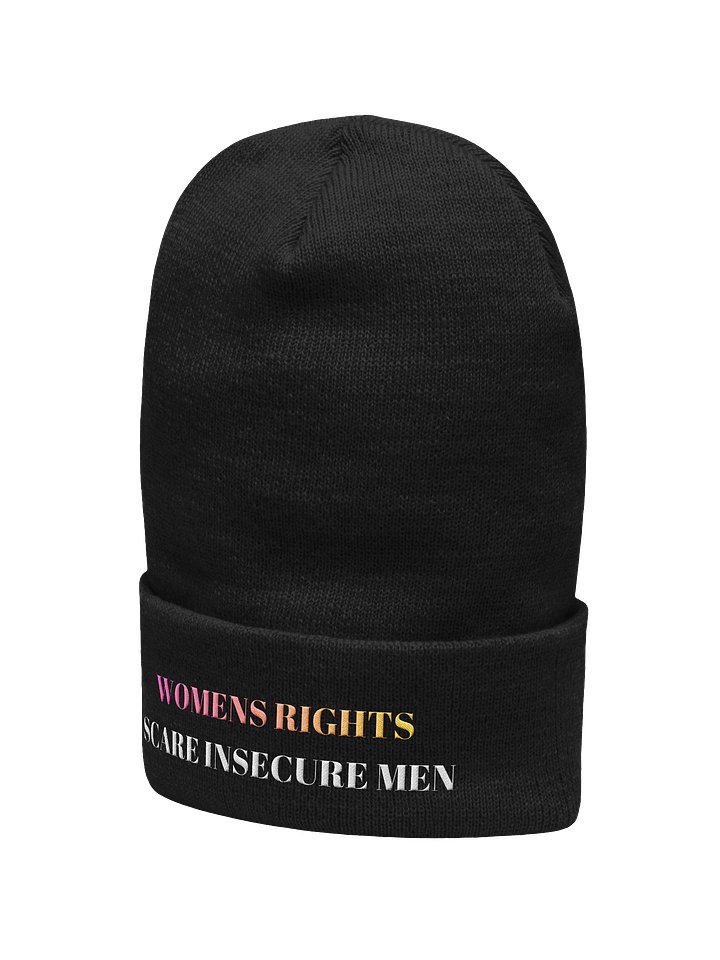 WOMENS RIGHTS SCARE INSECURE MEN BEANIE product image (2)