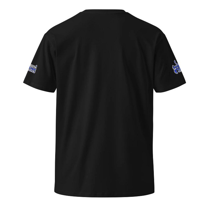 JAY AND THE SILVER STRINGS logo tee product image (2)