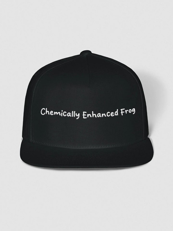 Phrogie Pride Snapback product image (1)