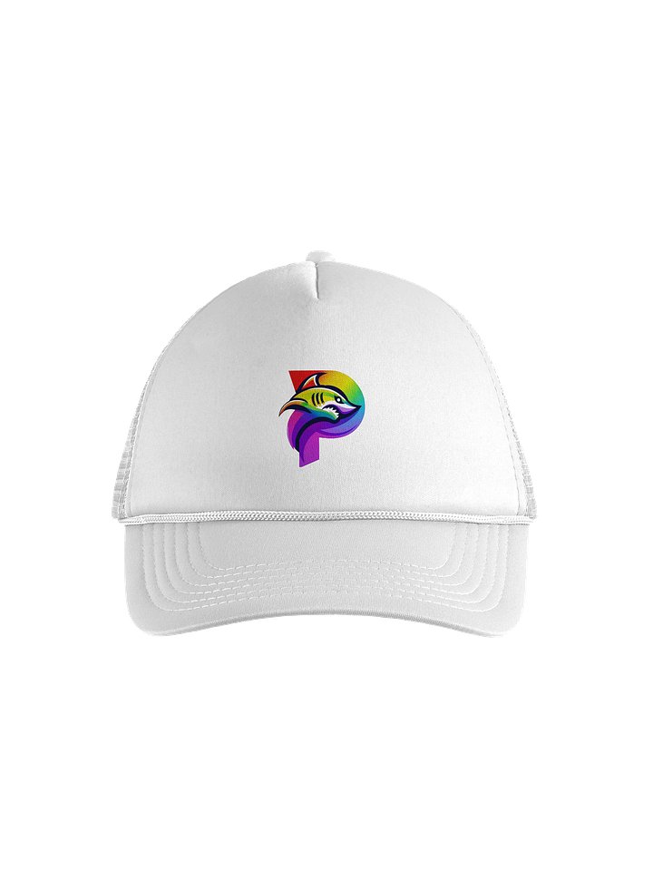 Paytonics Pride Logo Hat product image (1)