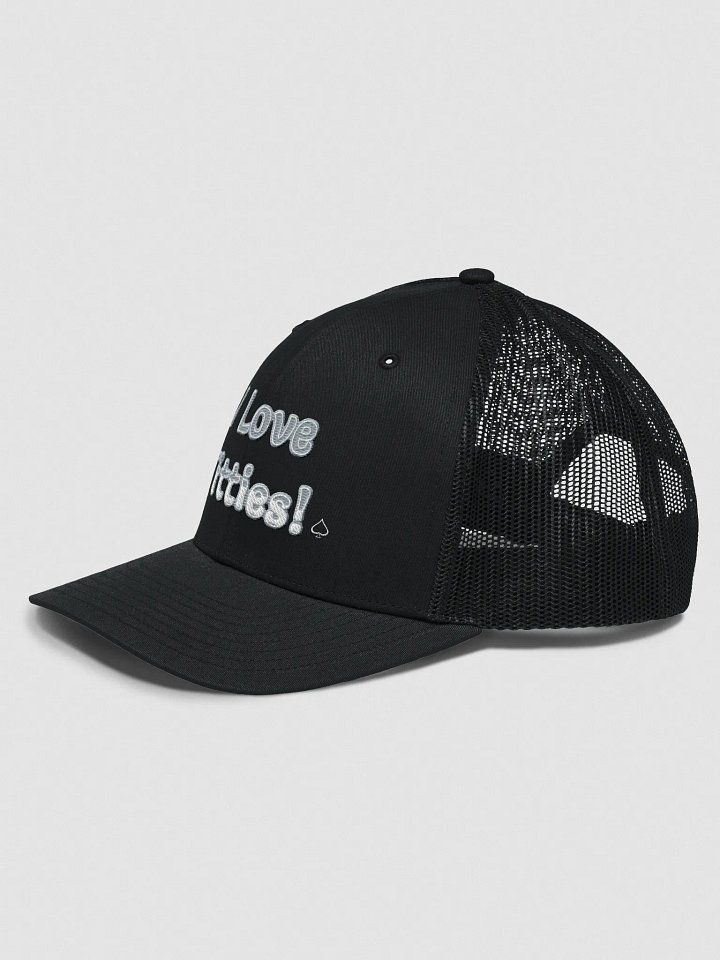 Titties Hat product image (2)
