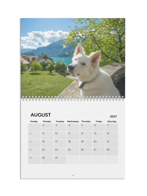 Lil Rasta Calendar 2027 product image (9)