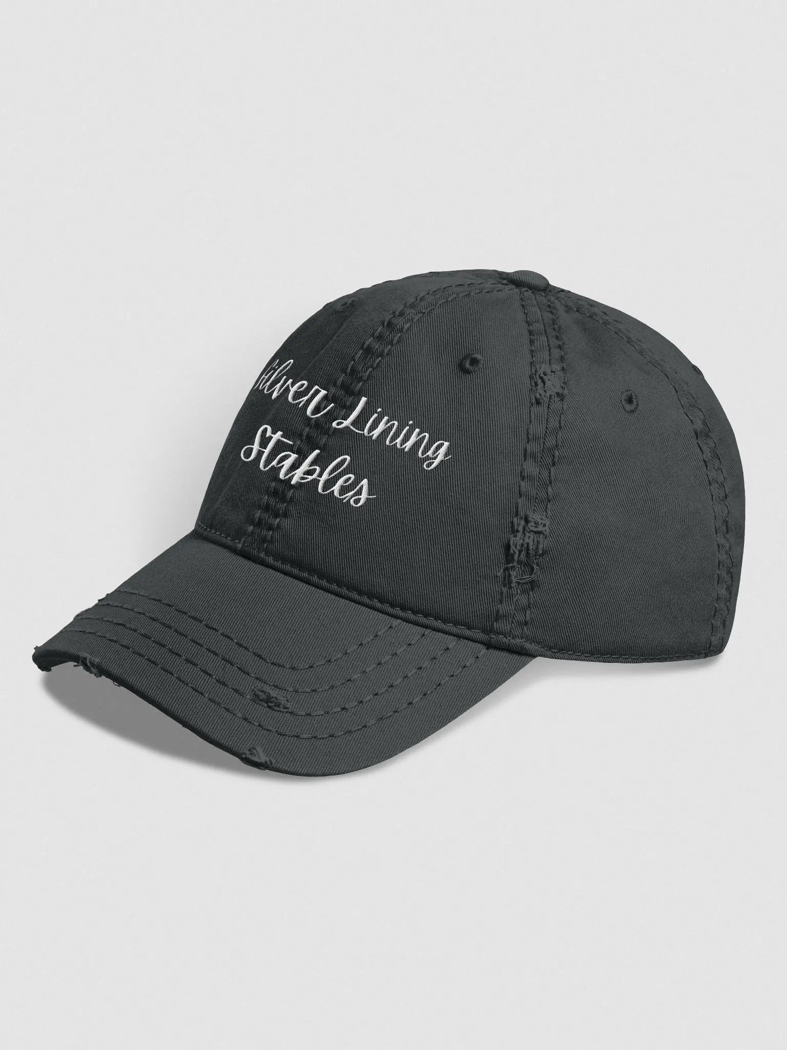 SLS Distressed Hat product image (4)