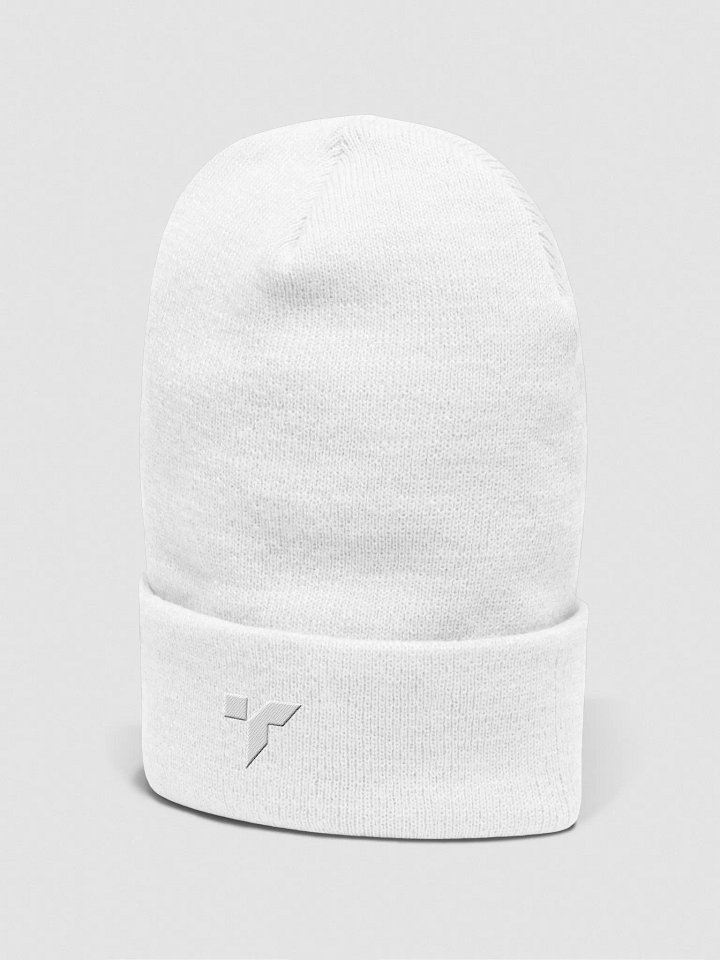 TruthGTV T Beanie product image (2)