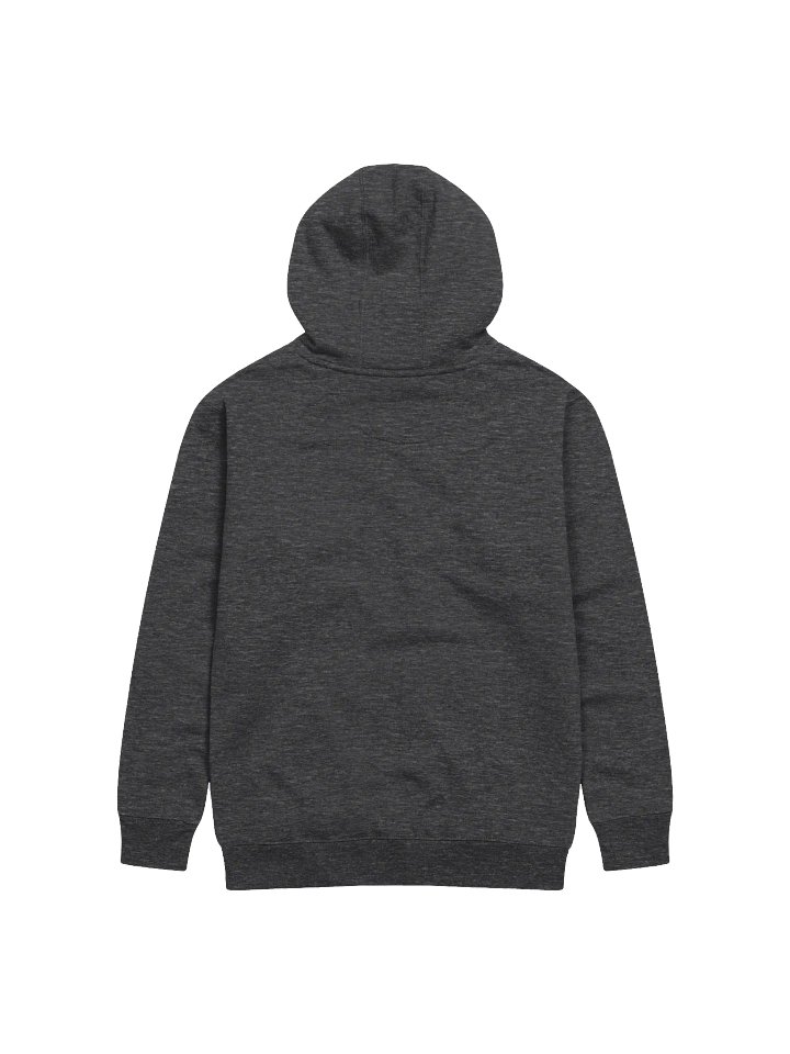 "Can You Help Me Financially?" Premium Unisex Hoodie product image (9)