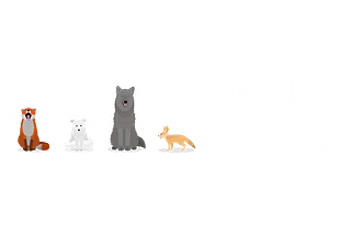 The Official WebCanids Shop!