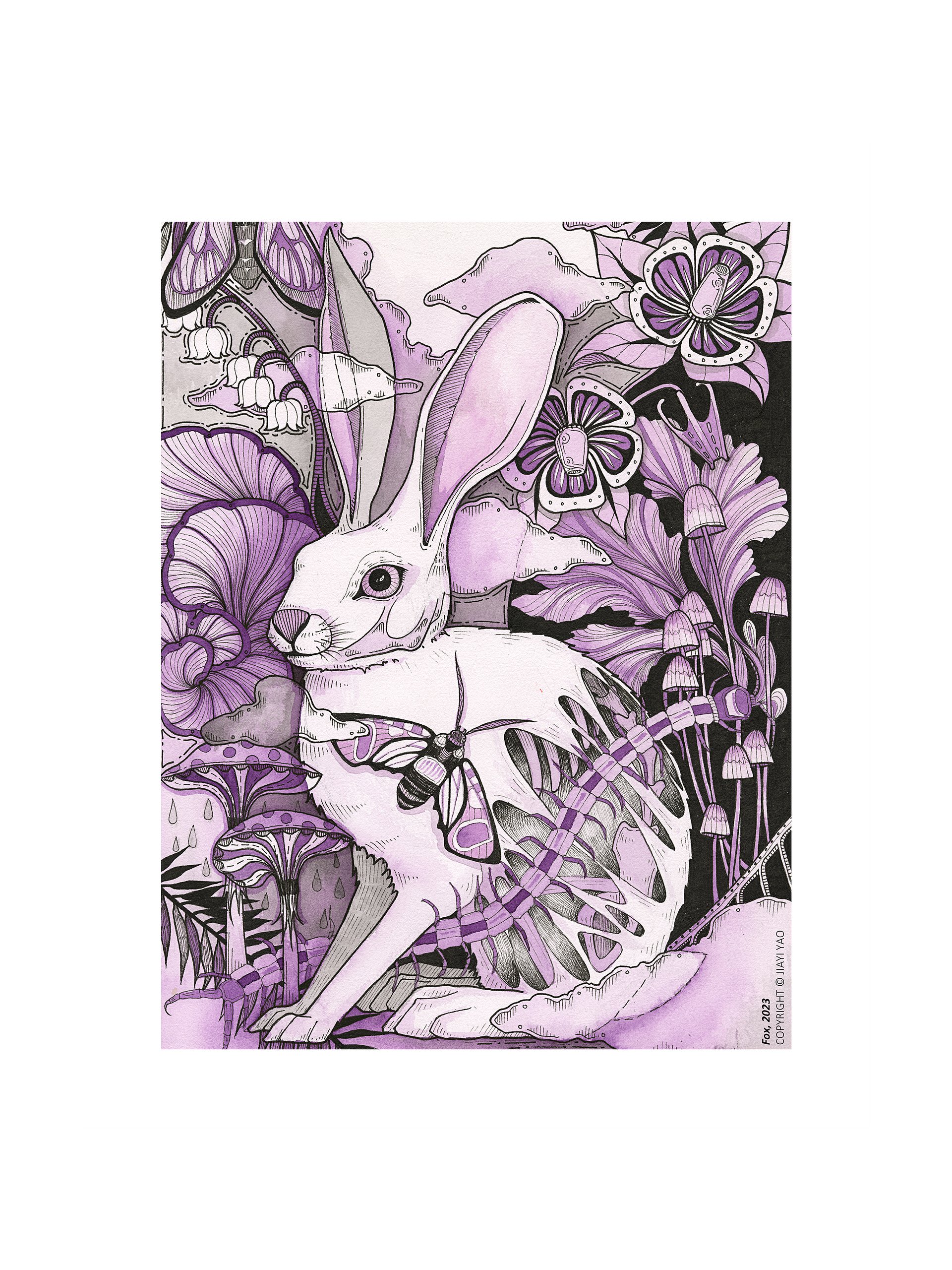 Wild Rabbit - Original Art Print product image (1)