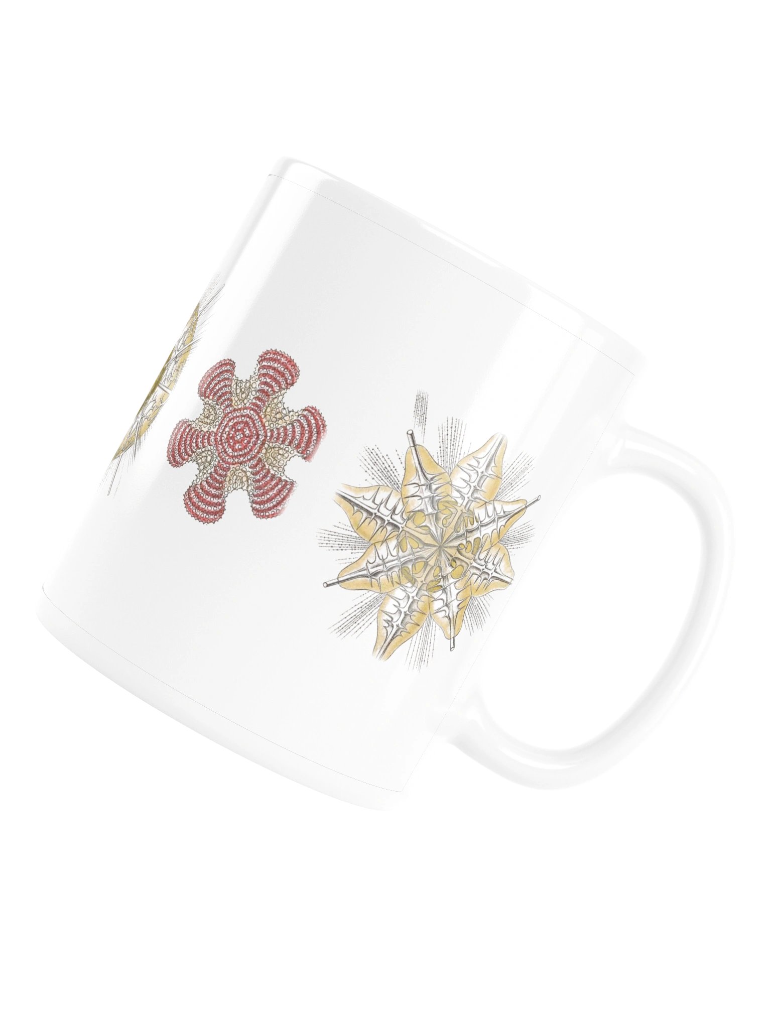 Radiolarians – Haeckel Mug product image (6)