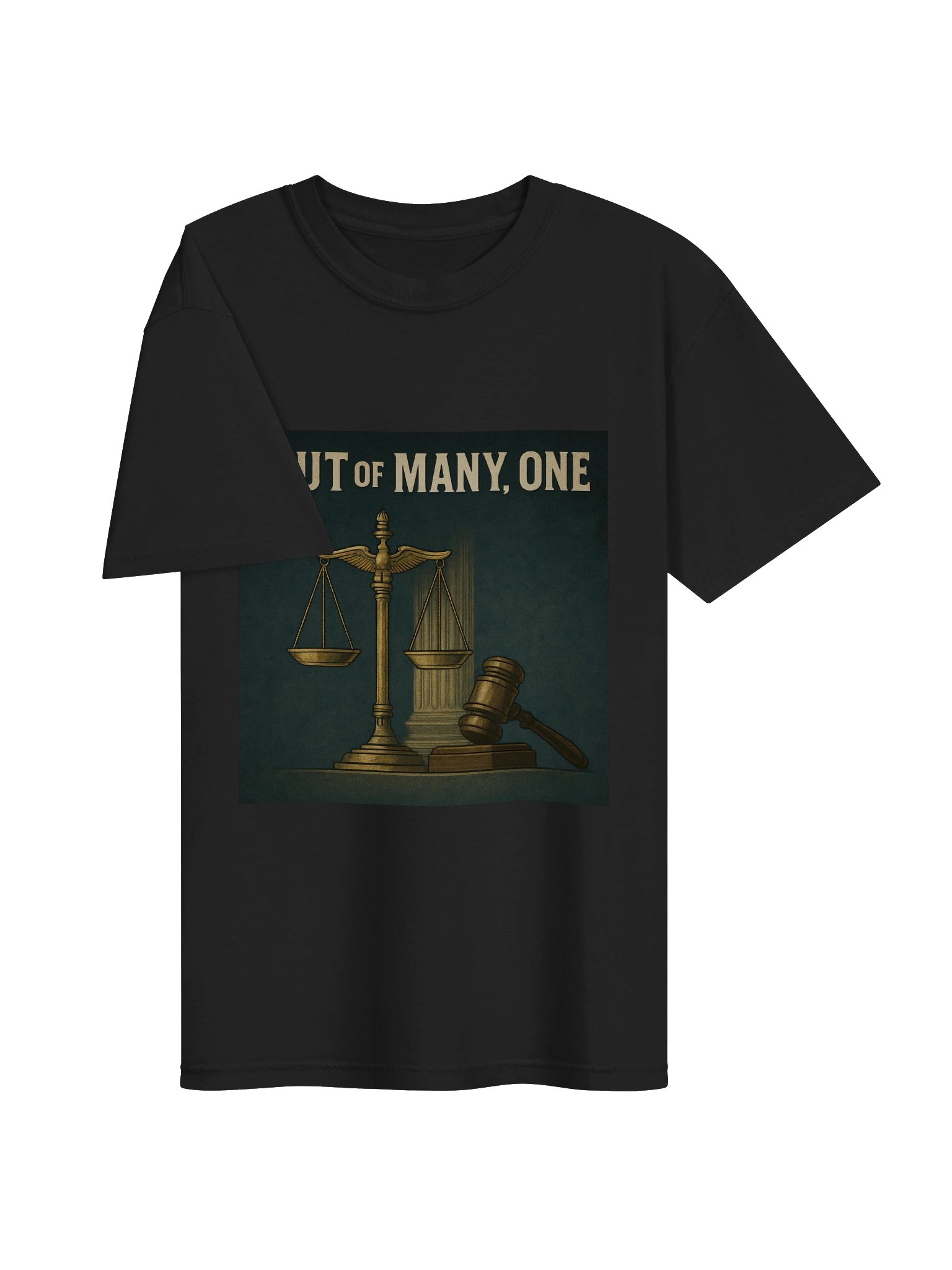 Out of Many T-Shirt product image (21)