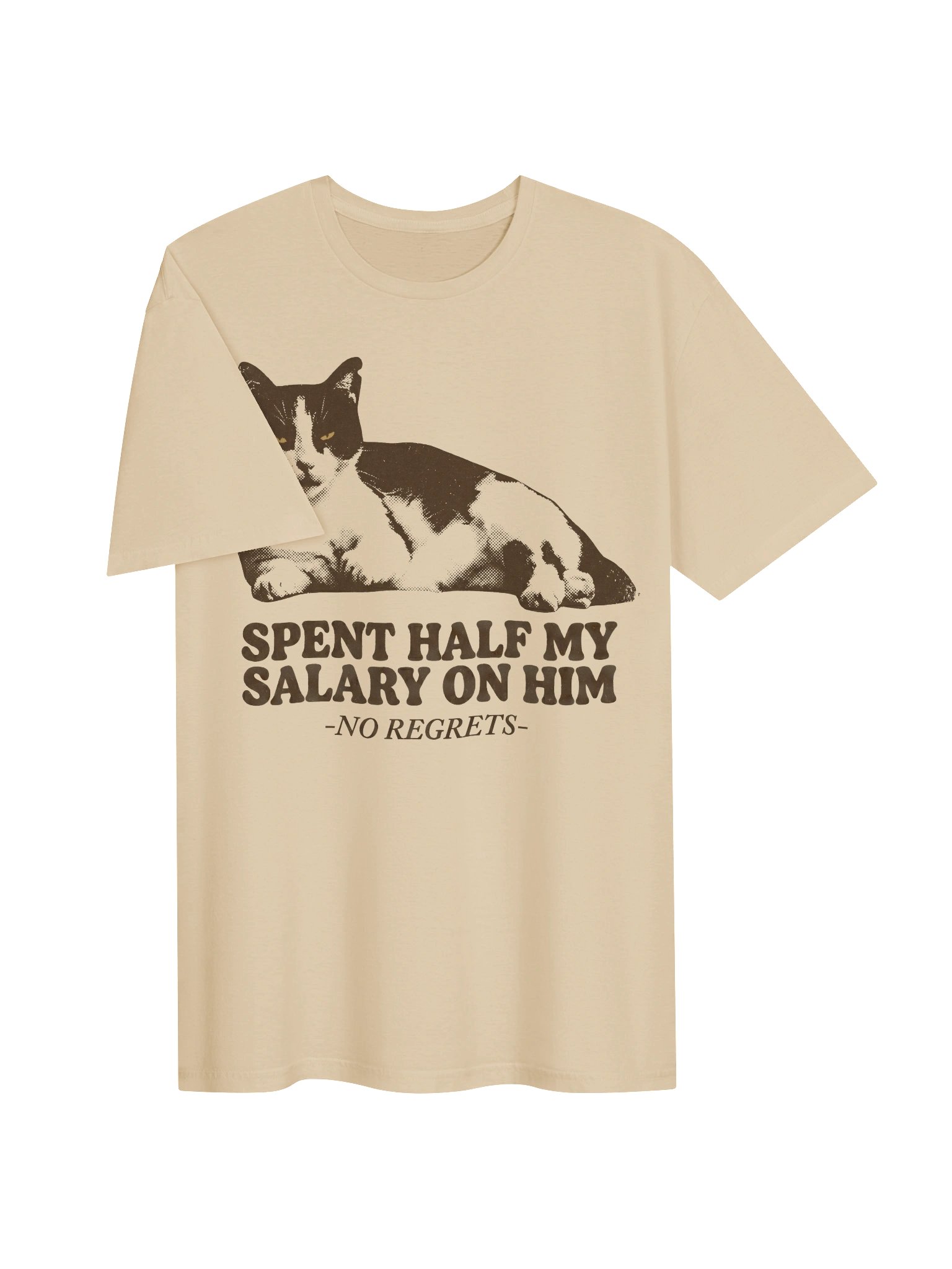 Spent My Salary Cat T-Shirt product image (12)